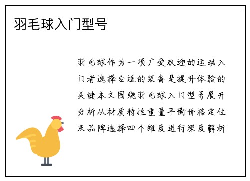 羽毛球入门型号
